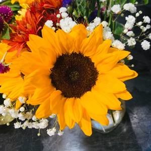 Meet your Posher, Dana